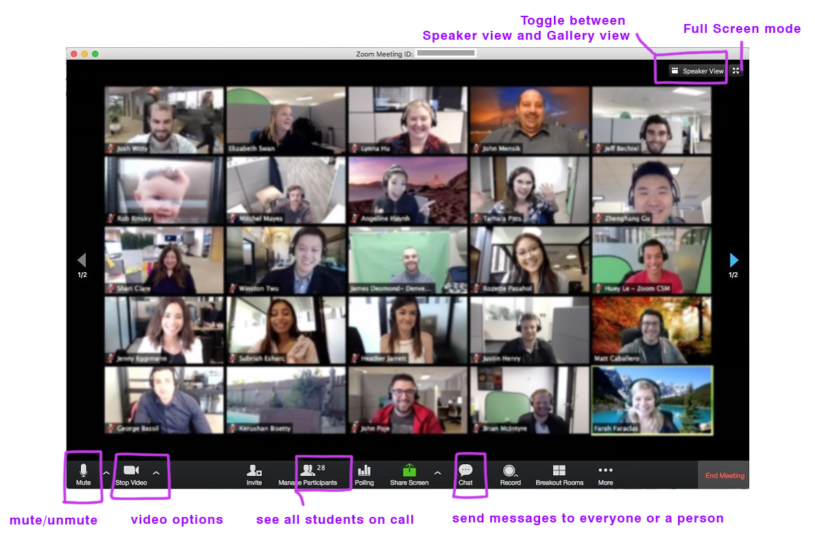 Zoom Calls The City College of New York